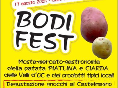 BODI FEST 2025